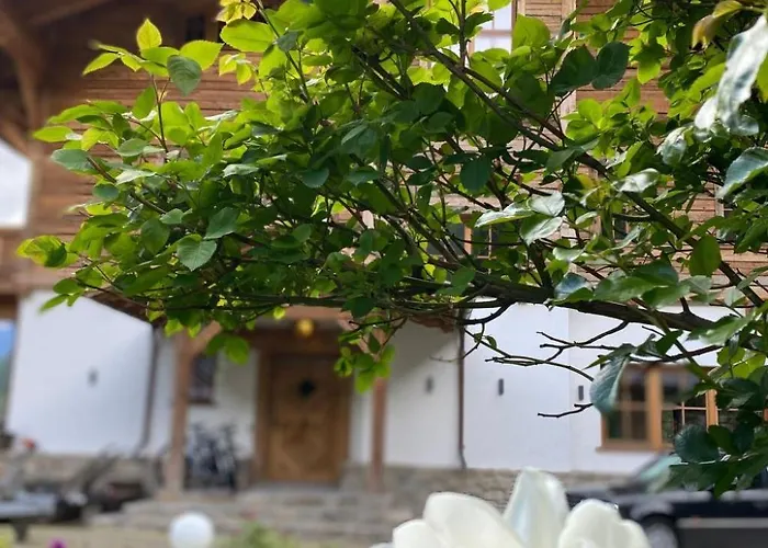 Wasserfall By Interhome * פלאטלאך